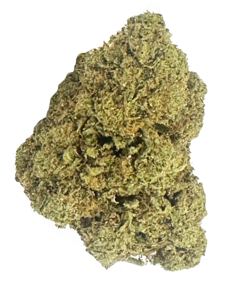 Biscotti - Hybrid - THCa Flower WV