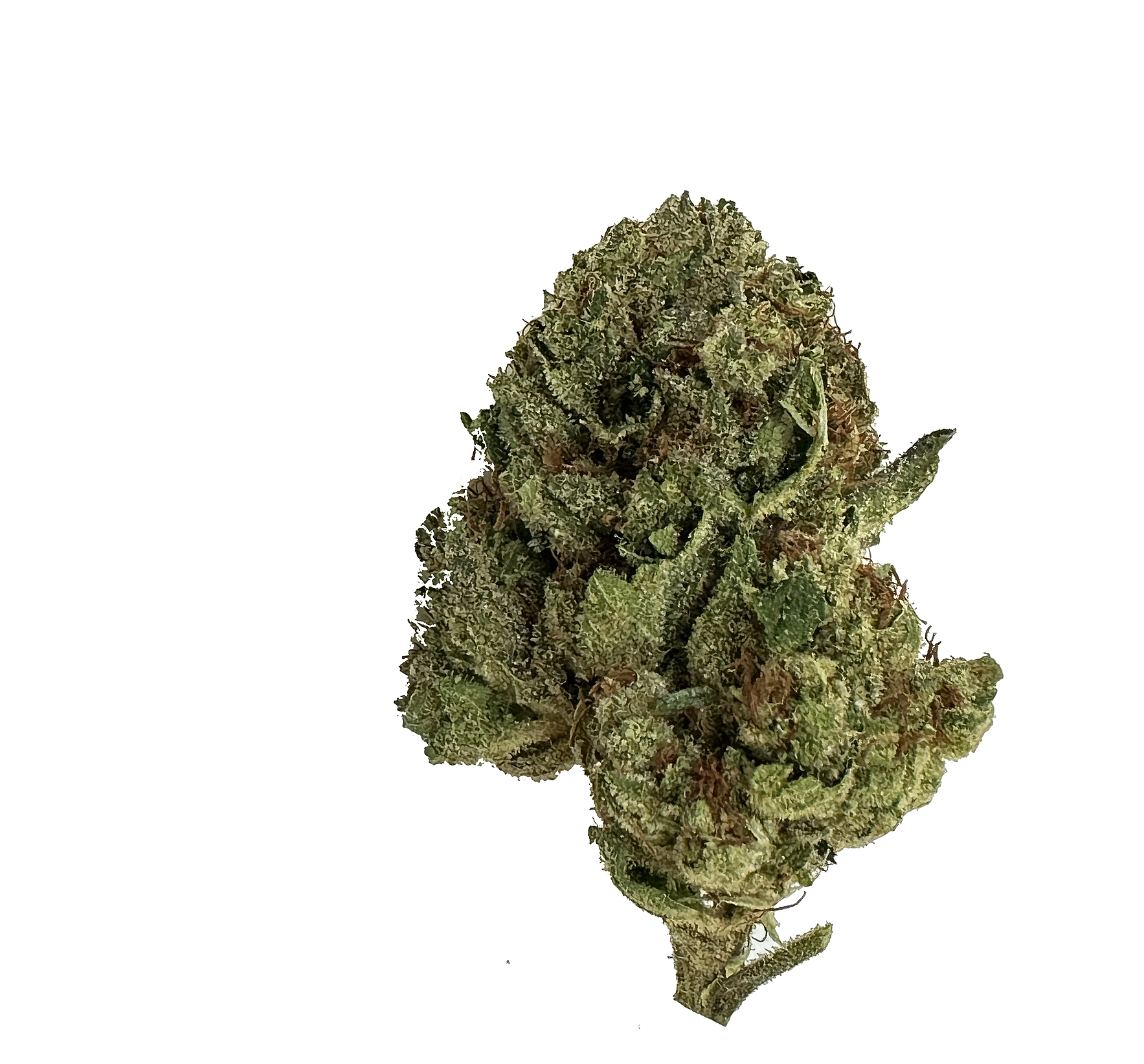 Gelonade - Sativa - THCa Flower WV